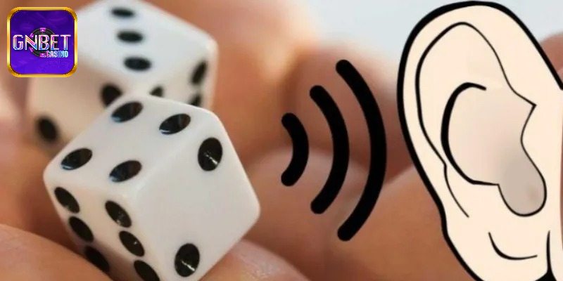 Tìm hiểu về nghe hột tài xỉu